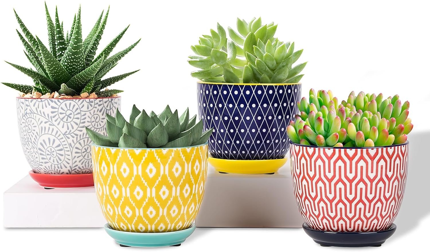 Selamica colorful ceramic plant pots with drainage holes and saucers