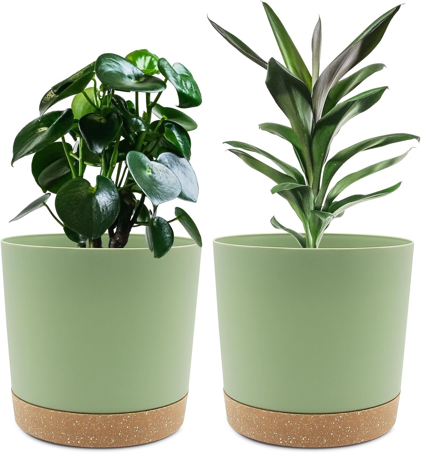 QCQHDU modern 8 inch plant pots with drainage holes and saucers